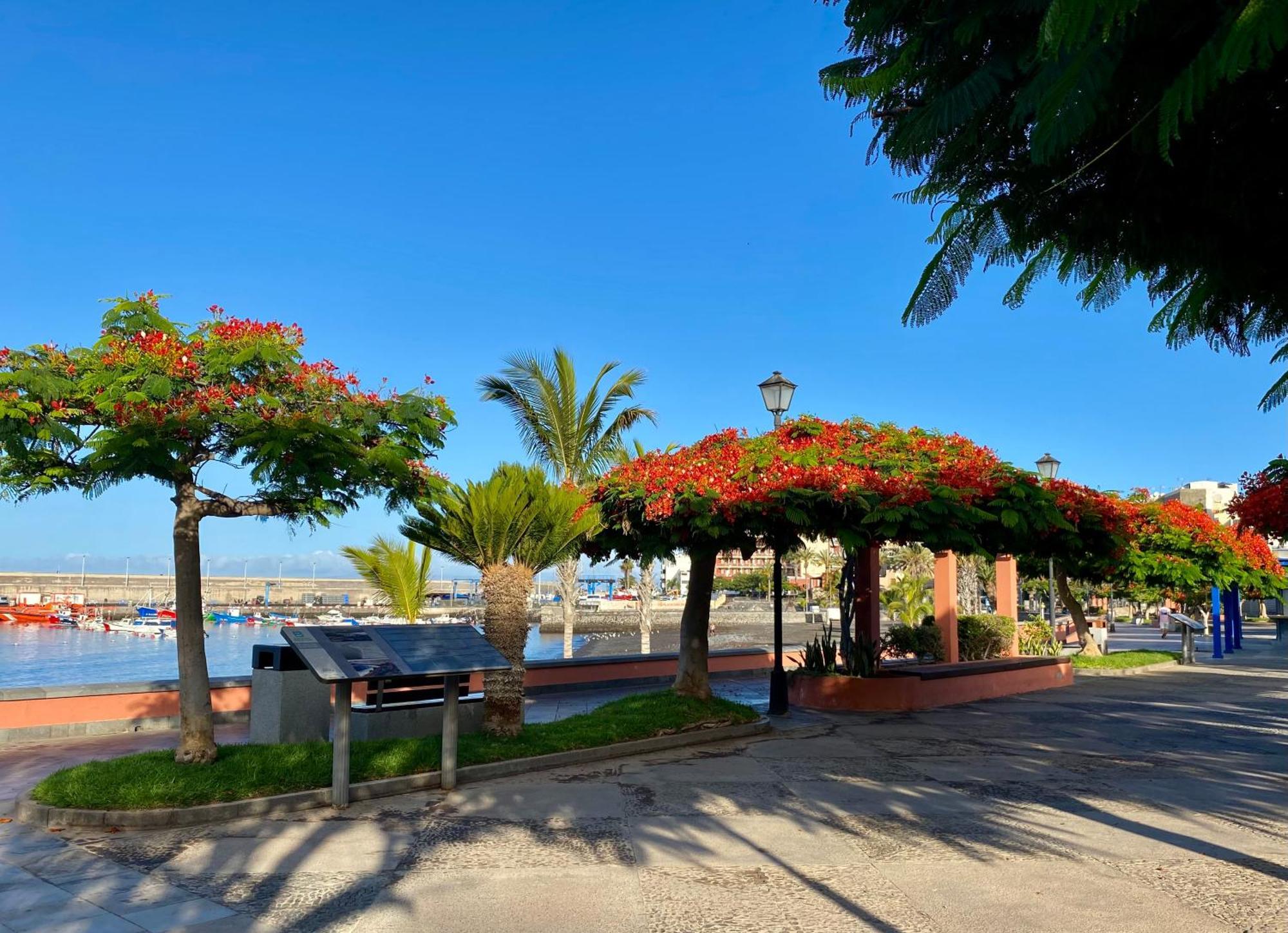 Casa Antonio - Apartamento Luna Playa de San Juan  Bagian luar foto